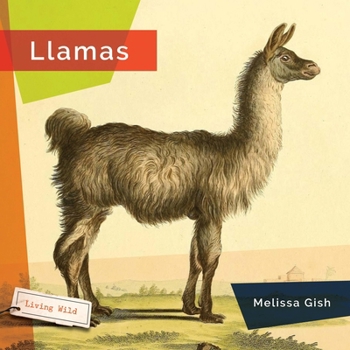 Llamas - Book  of the Living Wild