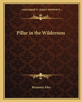Paperback Pillar in the Wilderness Book