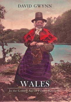 Paperback Wales in the Golden Age of Picture Postcards Book