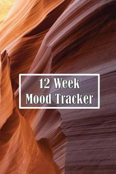 Paperback 12 Week Mood Tracker: One Page Per Day Book