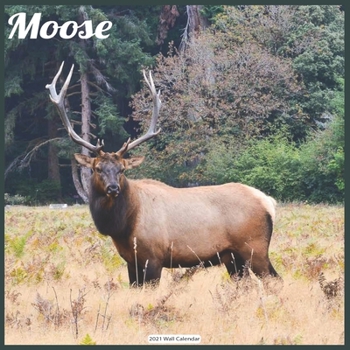 Paperback Moose 2021 Wall Calendar: Official ELK Moose Calendar 2021 Book