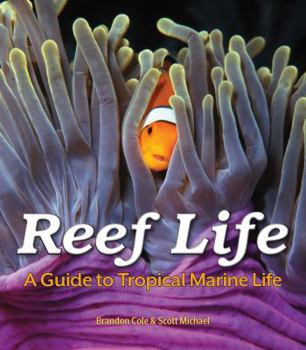 Paperback Reef Life: A Guide to Tropical Marine Life Book