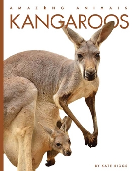 Kangaroos - Book  of the Amazing Animals