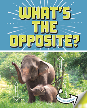 What's the Opposite? : A Turn-And-See Book