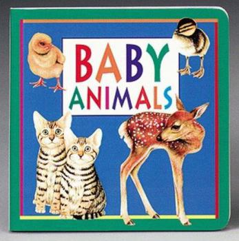 Board book Baby Animals Book