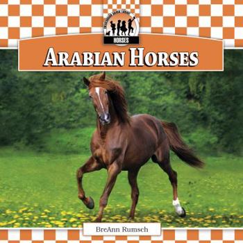 Arabian Horses - Book  of the Horses