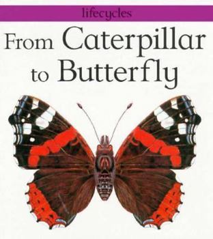 Hardcover From Caterpillar to Butterfly Book