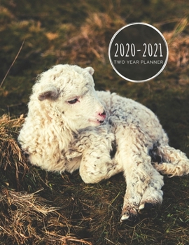 2020-2021 Two Year Planner: Lamb Planner January 1, 2020 to December 31, 2021 Weekly & Monthly Planner + Calendar Views 2 Year Calendar 24 Month Agenda Planner Gift For Sheep Lovers