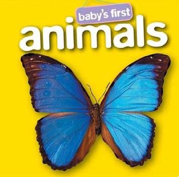 Hardcover Animals (Baby's First Padded Series) Book