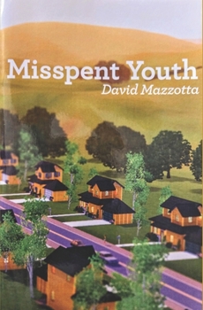 Paperback Misspent Youth Book