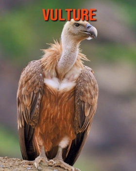 Paperback Vulture: Learn About Vulture and Enjoy Colorful Pictures Book