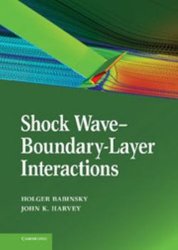 Hardcover Shock Wave-Boundary-Layer Interactions Book