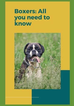 Boxers: All you need to know!