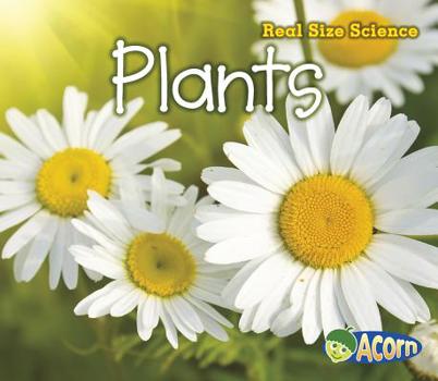 Plants - Book  of the Real Size Science