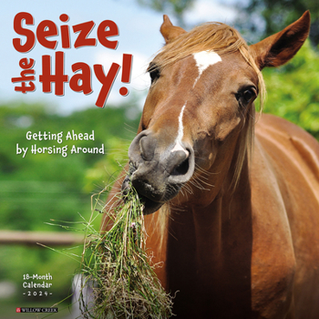 Calendar Seize the Hay 2024 12 X 12 Wall Calendar Book