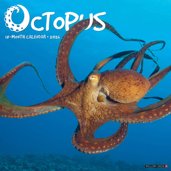 Calendar Octopus 2026 Wall Calendar Book