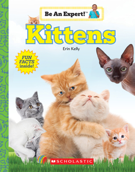 Hardcover Kittens (Be an Expert!) (Library Edition) Book