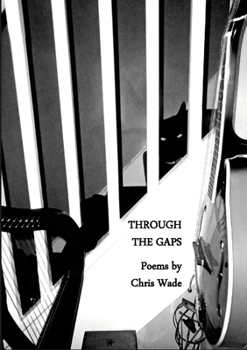 Paperback Through the Gaps Book