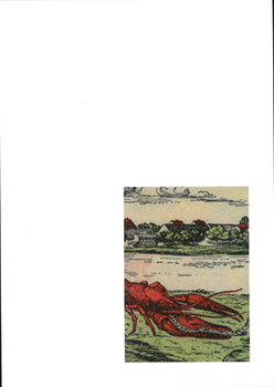 Paperback Julian Irlinger: Fragments of a Crisis Book