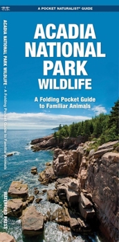 Acadia National Park Wildlife: A Folding Pocket Guide to Familiar Species