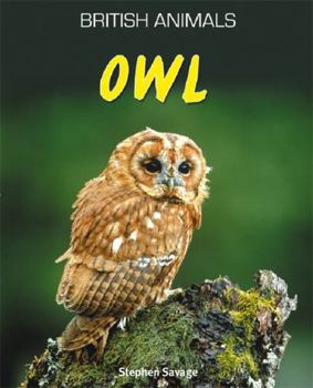 Paperback Owl. Stephen Savage Book