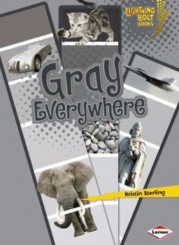 Gray Everywhere - Book  of the Lightning Bolt Books™ ~ Colors Everywhere