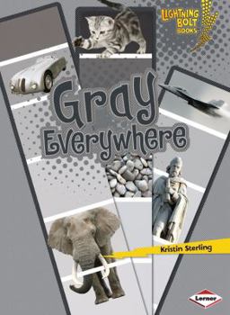 Paperback Gray Everywhere Book