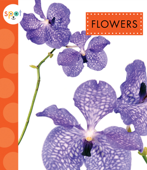 Paperback Flowers Book