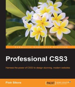 Paperback Professional CSS3 Book