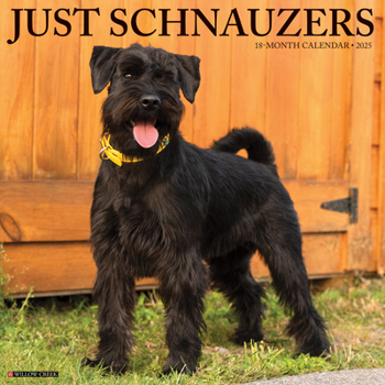 Calendar Just Schnauzers 2025 12 X 12 Wall Calendar Book
