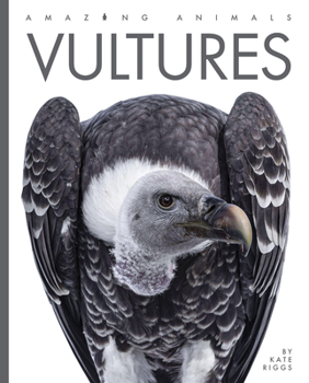 Vultures - Book  of the Amazing Animals