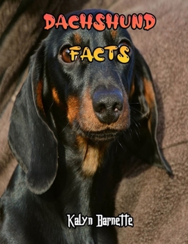 Paperback Dachshund Facts: DACHSHUND fact for girl age 1-10 DACHSHUND fact for boy age 1-10 facts about all about DACHSHUND Book