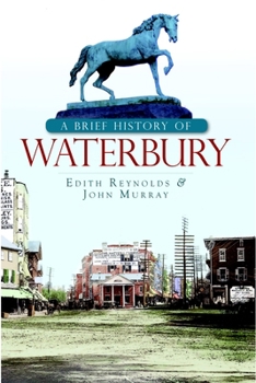 Paperback A Brief History of Waterbury Book
