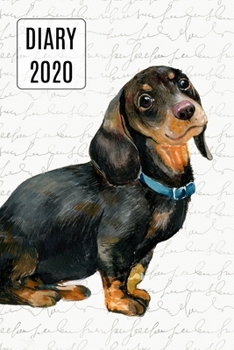 Paperback 2020 Daily Diary Planner, Watercolor Dachshund: Three Days Per Page Full Year Planner Book