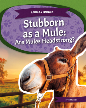 Library Binding Stubborn as a Mule: Are Mules Headstrong?: Are Mules Headstrong? Book