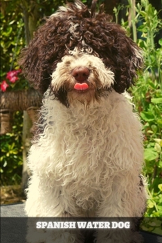 Paperback Spanish Water Dog: Complete breed guide Book