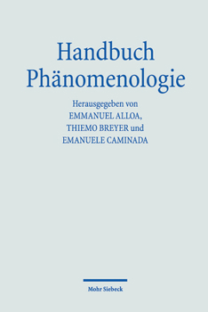 Paperback Handbuch Phanomenologie [German] Book