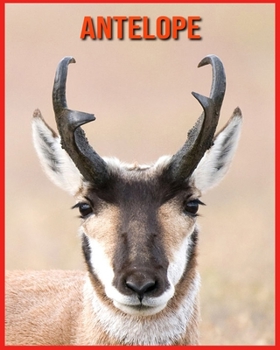 Paperback Antelope: Amazing Pictures & Fun Facts on Animals in Nature Book