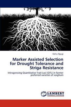 Paperback Marker Assisted Selection for Drought Tolerance and Striga Resistance Book