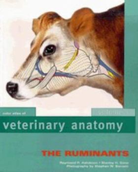 Hardcover Color Atlas of Veterinary Anatomy: Volume 1, the Ruminants Book