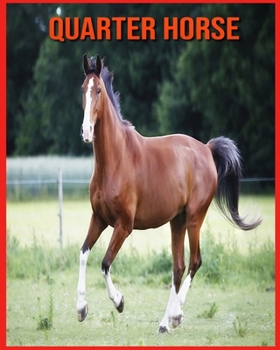 Quarter Horse: Images et Informations Etonnantes Concernant les Quarter Horse