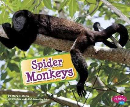 Library Binding Spider Monkeys Book