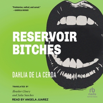 Reservoir Bitches: Stories