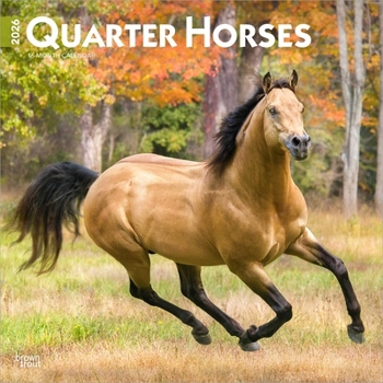 Calendar Quarter Horses 2026 12 X 24 Inch (Hanging) Monthly Square Wall Calendar Plastic-Free Book