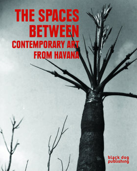 Paperback The Spaces Between: Contemporary Art from Havana Book