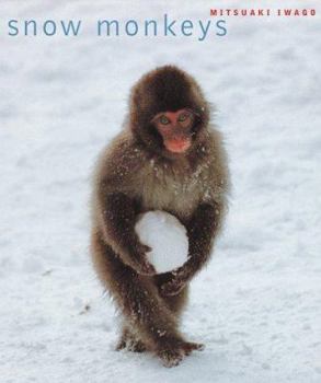 Paperback Snow Monkeys Book