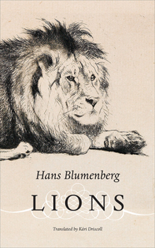 Hardcover Lions Book