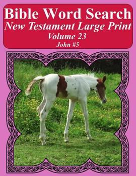 Paperback Bible Word Search New Testament Large Print Volume 23: John #5 Book