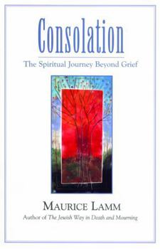 Paperback Consolation: The Spiritual Journey Beyond Grief Book