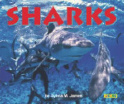 Paperback Sharks Book